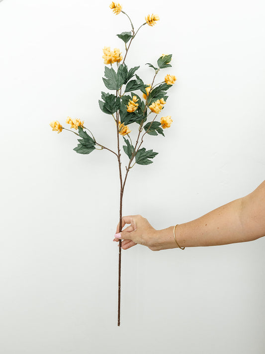 Cream Hop Spray - 35"