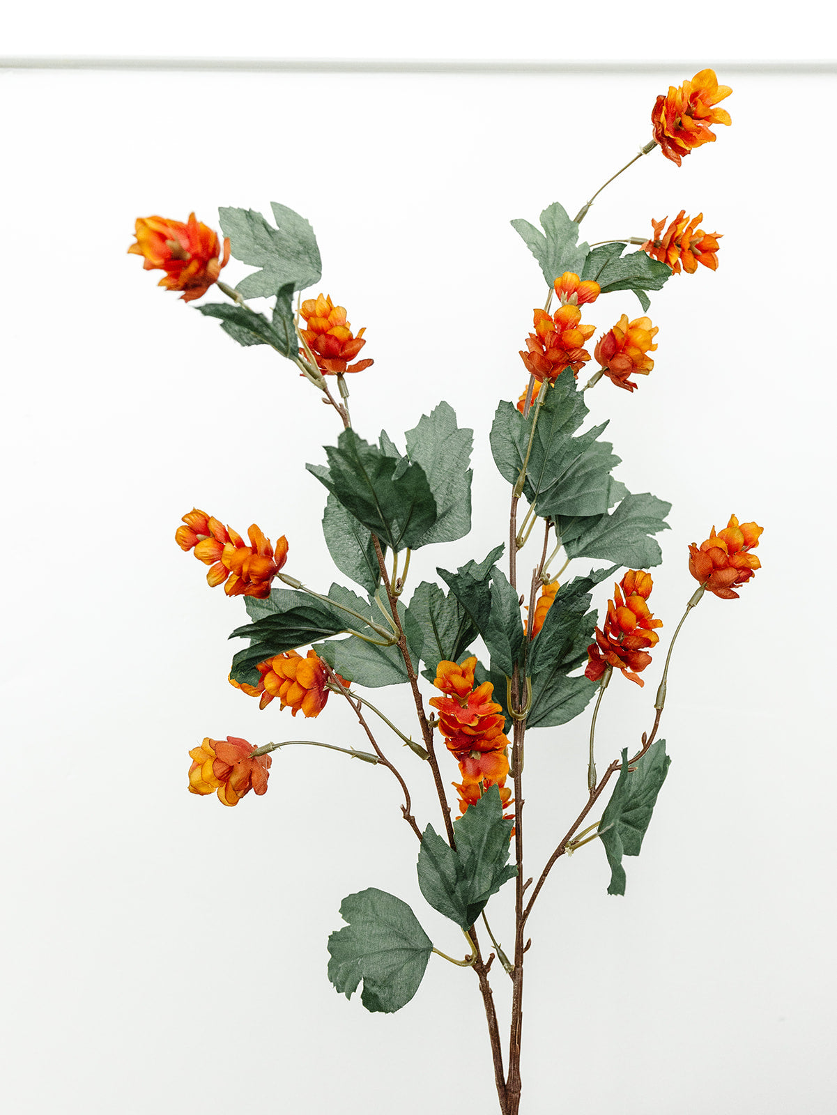 Rust Hop Spray - 35"