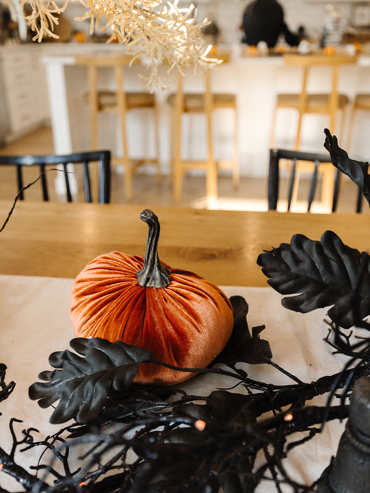 Velvet Orange Pumpkin