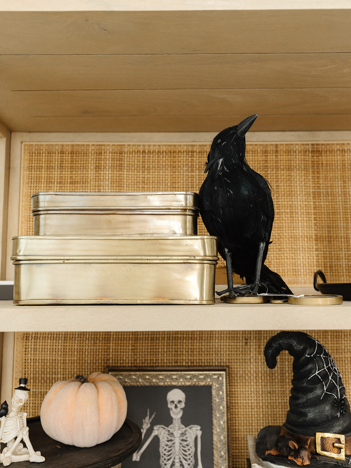 Black Crow - 2 Sizes