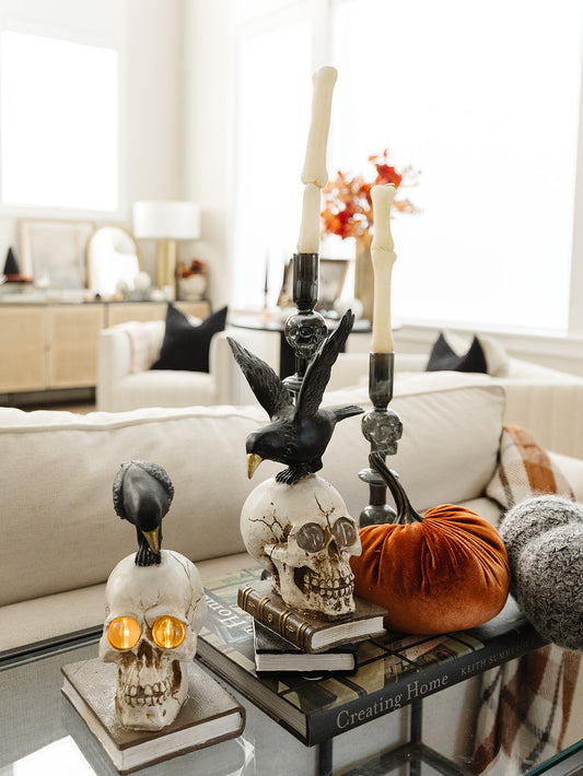 Skeleton on Book with LED Eyes - 2 Styles