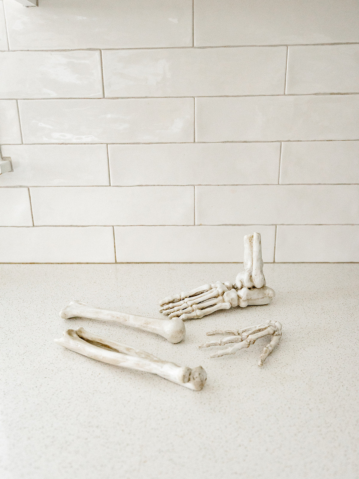 Bag of Bones