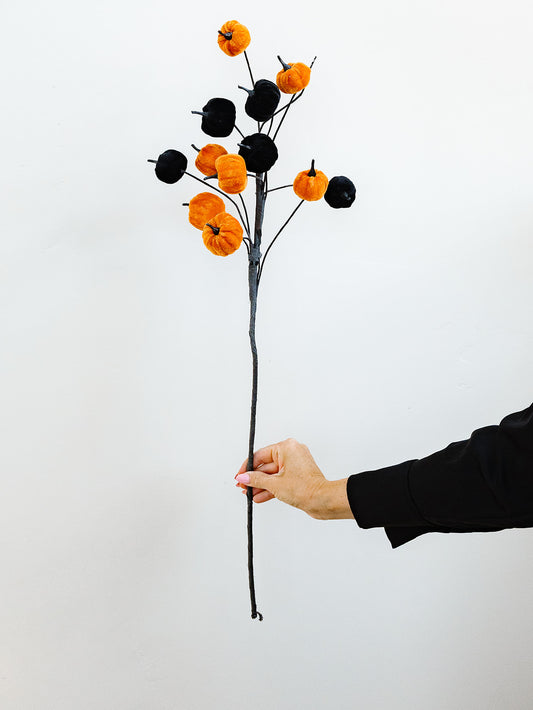 Velvet Pumpkin Stem