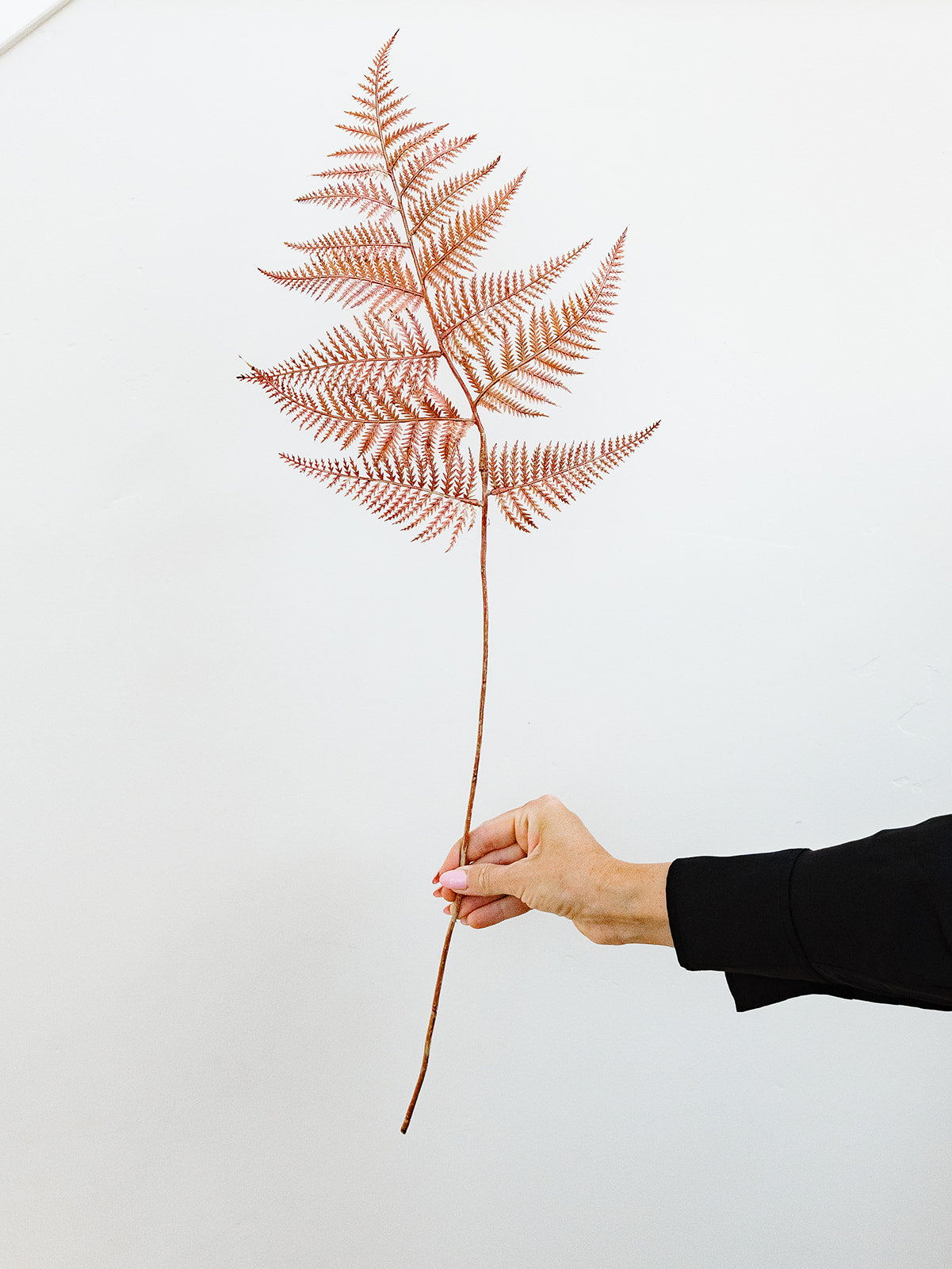 Mauve Fern Spray