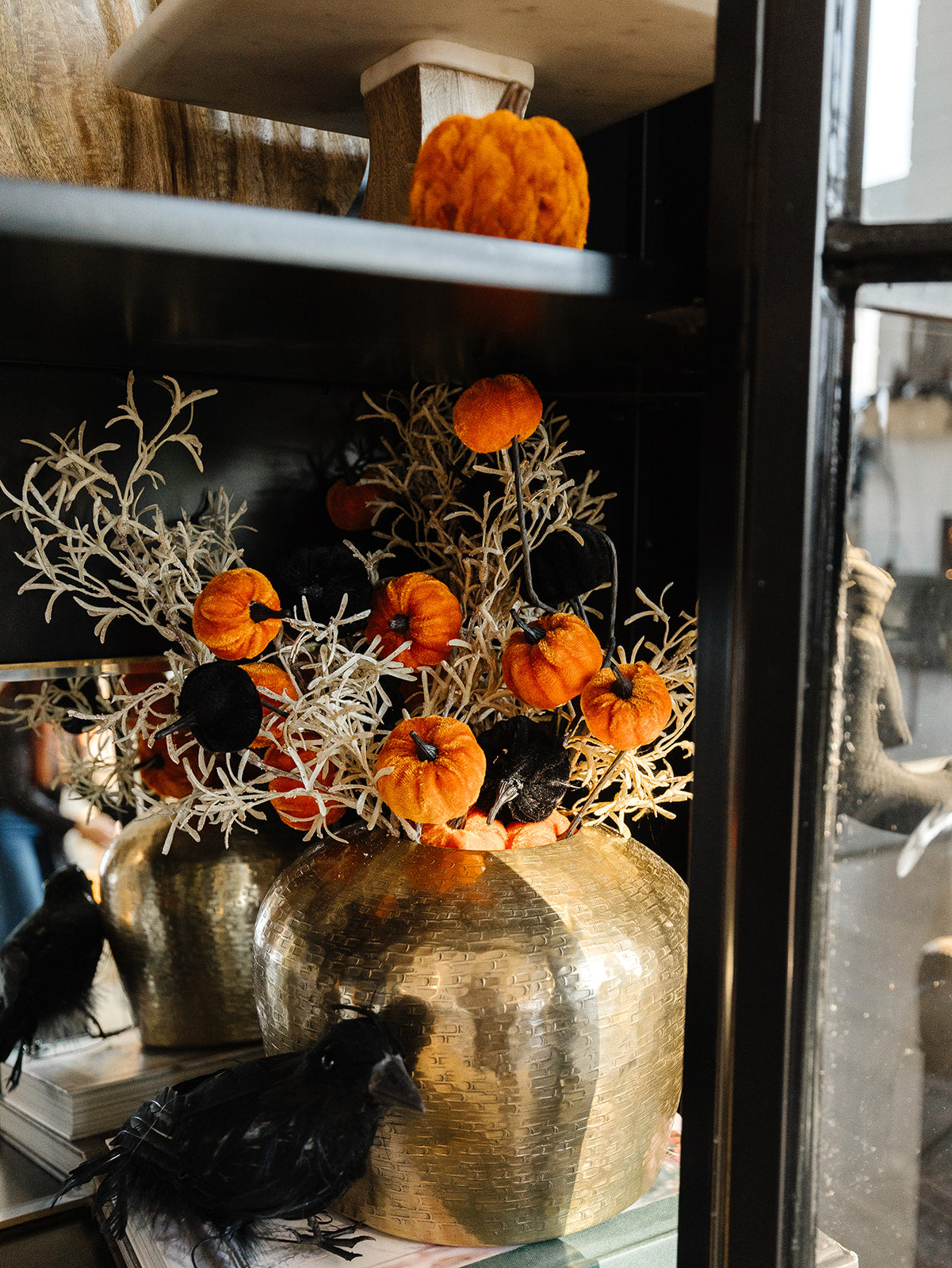 Velvet Pumpkin Stem