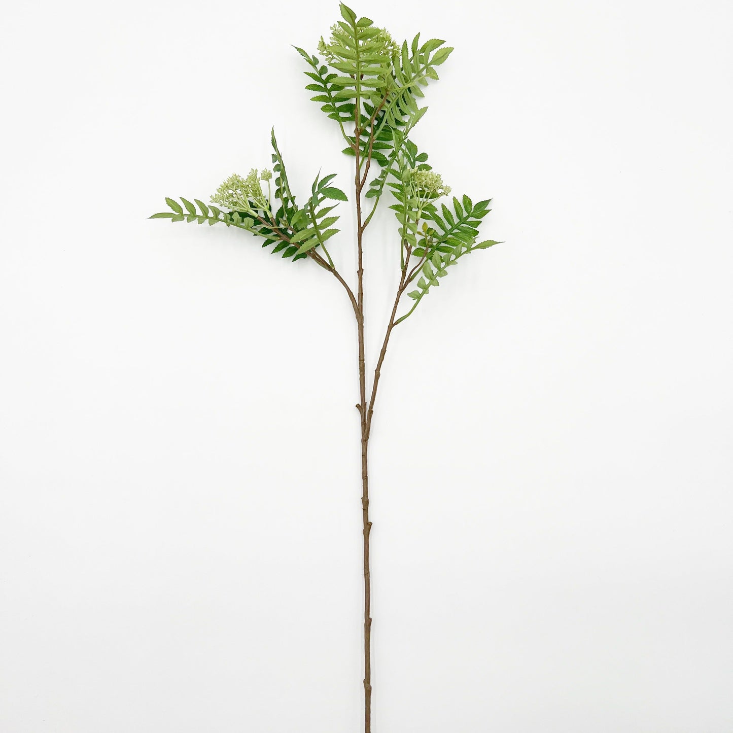 Sorbus Stem in Cream and Green- 32"