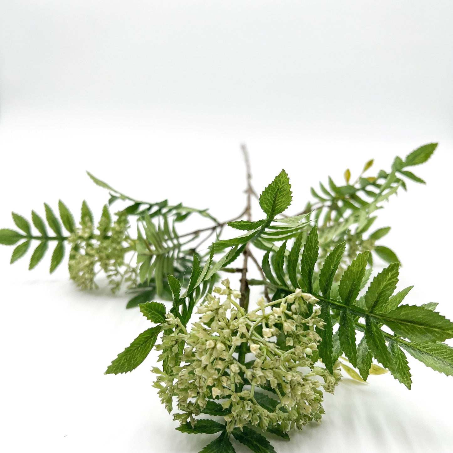 Sorbus Stem in Cream and Green- 32"