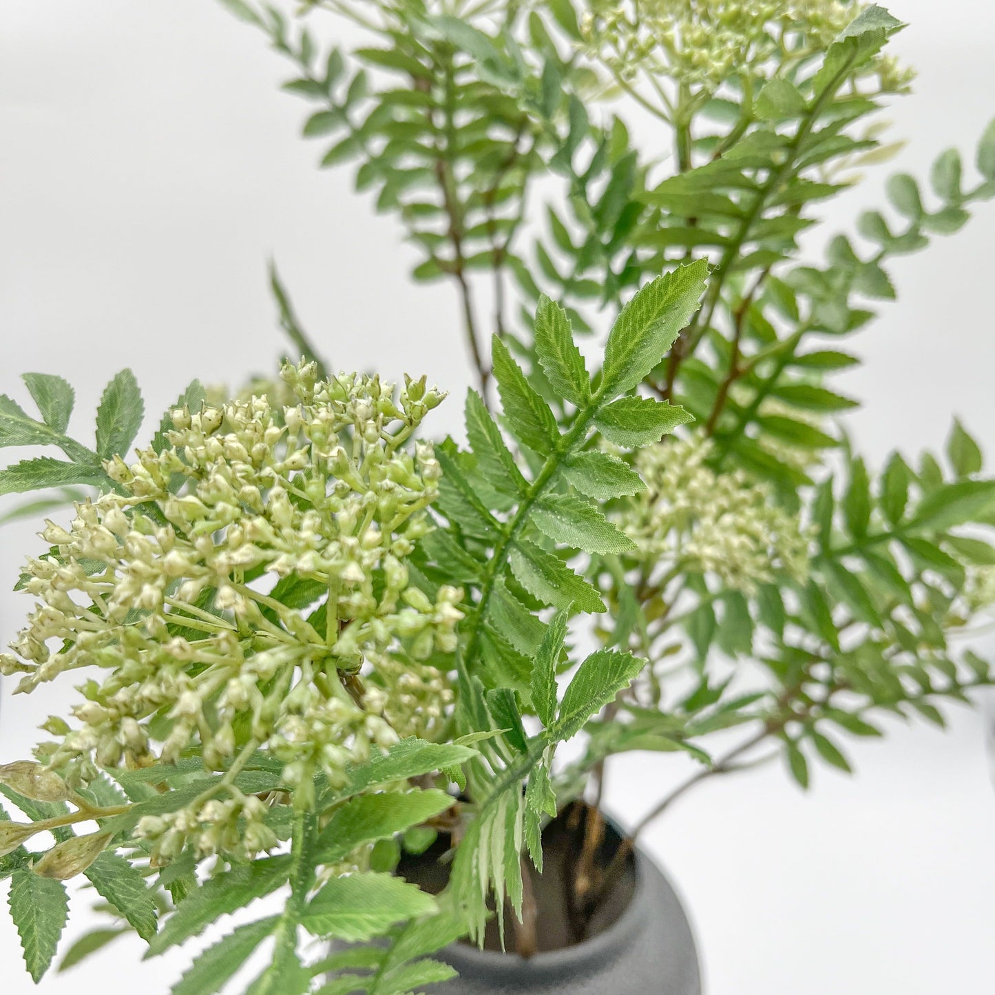 Sorbus Stem in Cream and Green- 32"