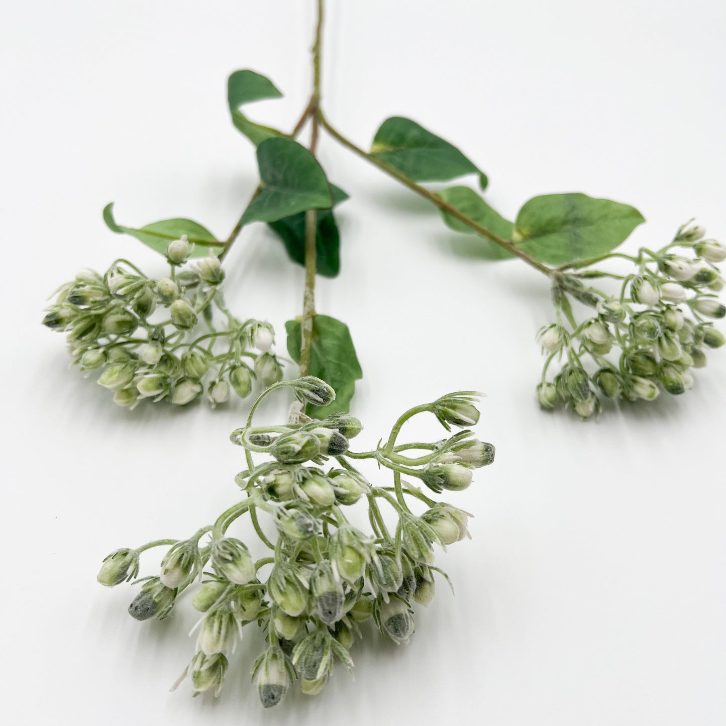Hypericum Berry Stem in White- 31"