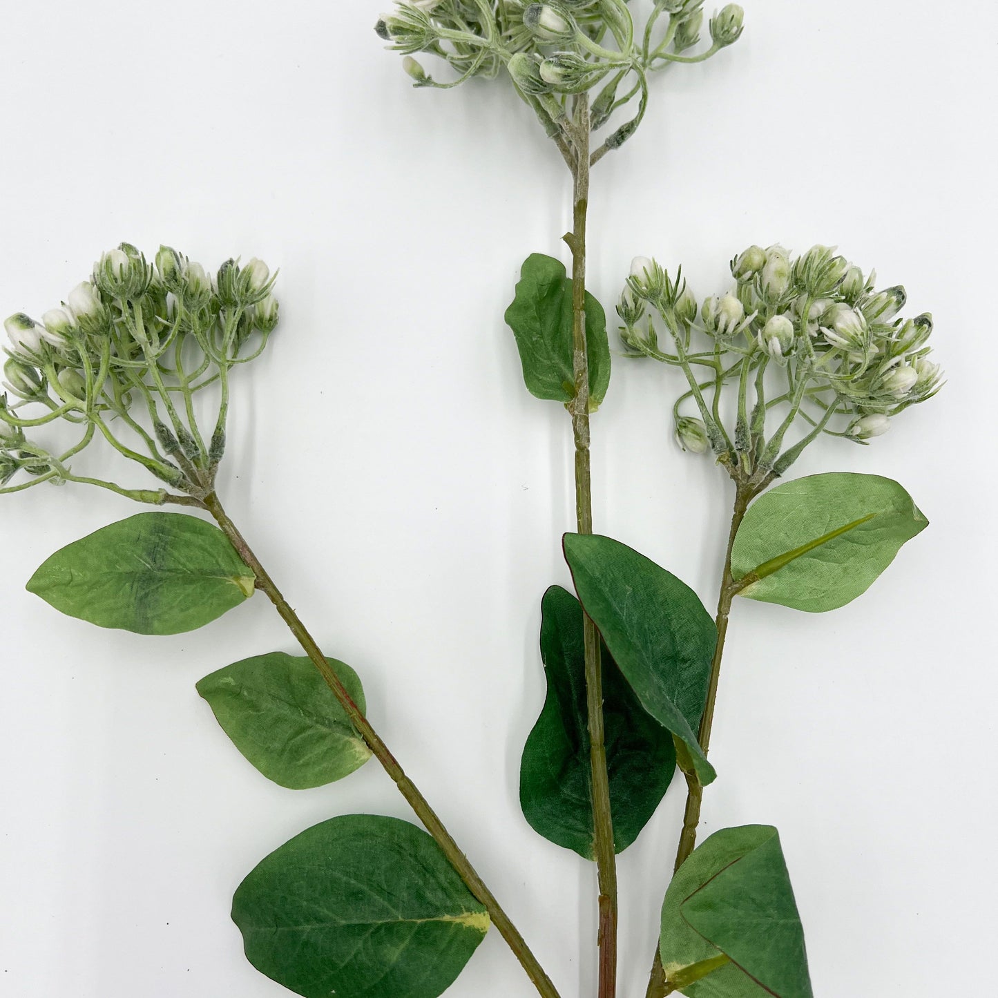 Hypericum Berry Stem in White- 31"