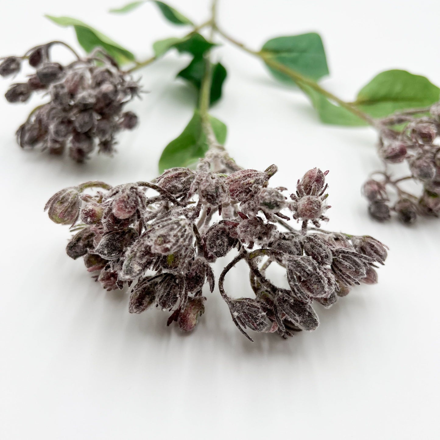 Hypericum Berry Stem in Purple - 31"