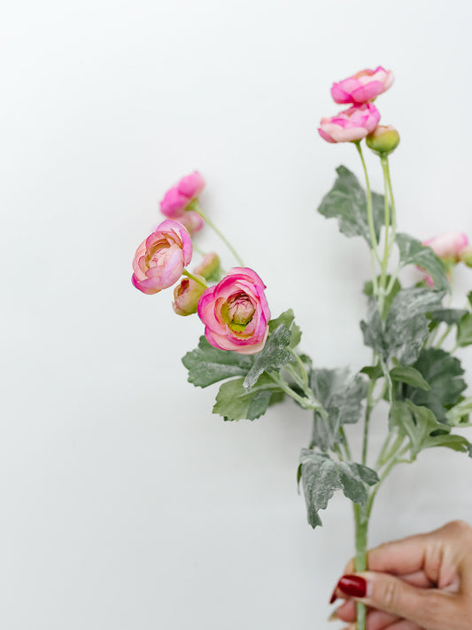 Pink Mini Ranunculus Bush - 13"
