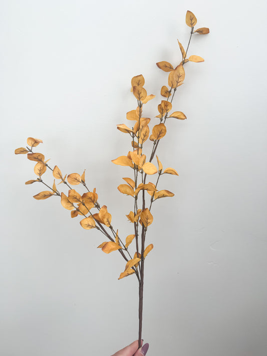 Yellow fall eucalyptus