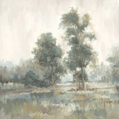 Landscape Dream II -canvas framed