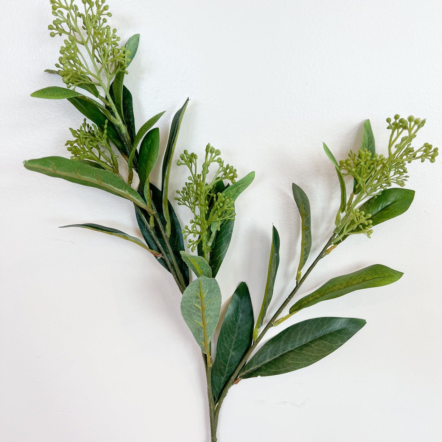 Skimmia Spray - 28"