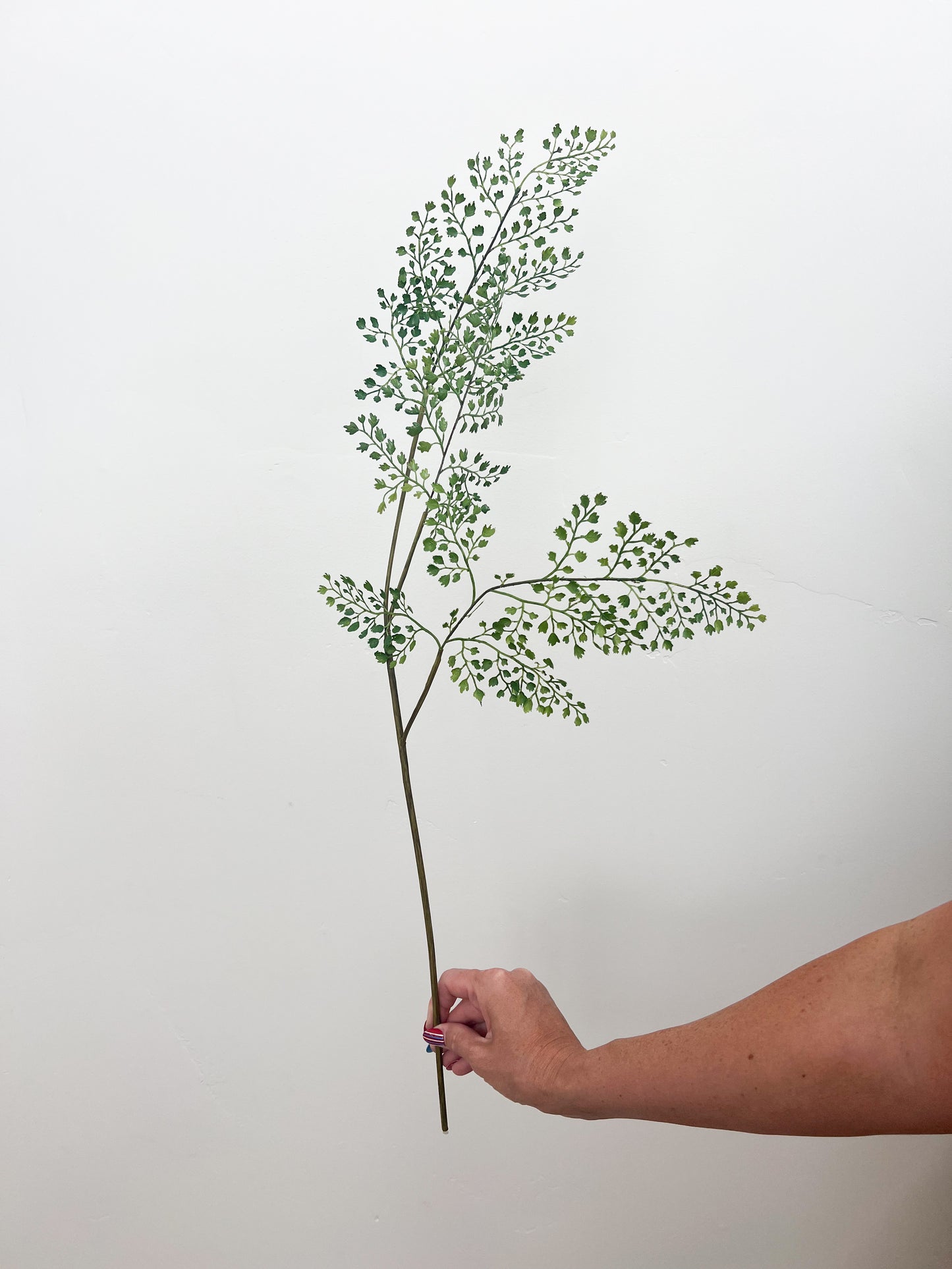 Maidenhair Spray - 31"