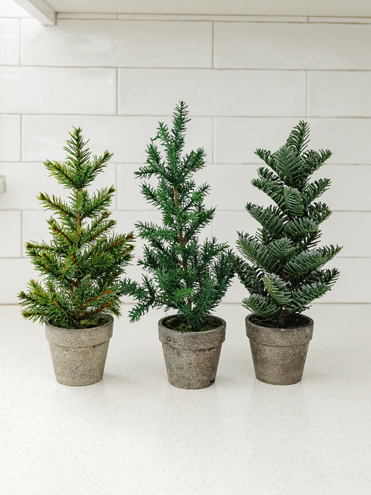Potted Pines - 3 tree styles & 2 different sizes