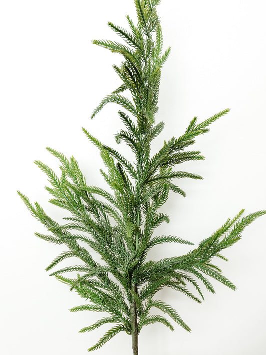 Cypress Norfolk Spray - 37"