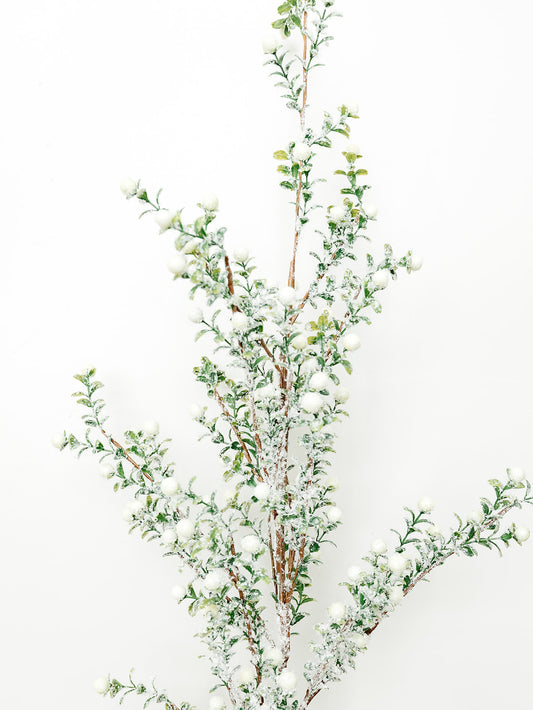 Snowy White Berry Spray - 48"