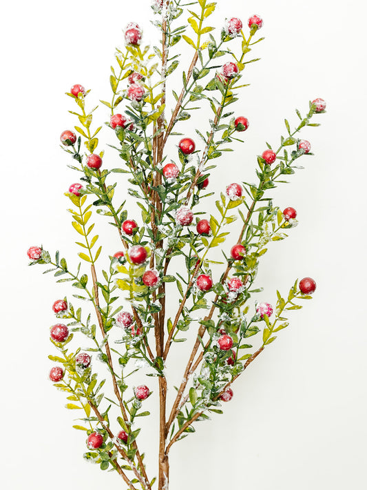 Snowy Red Berry Spray - 36"