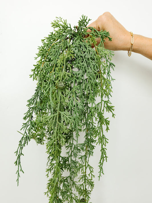 Hanging Cedar Branch - 30"