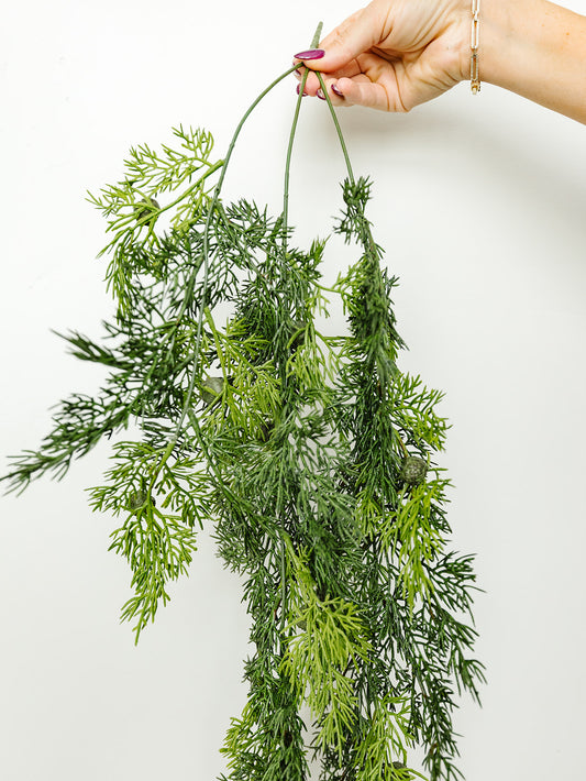 Hanging Juniper Bush - 36"
