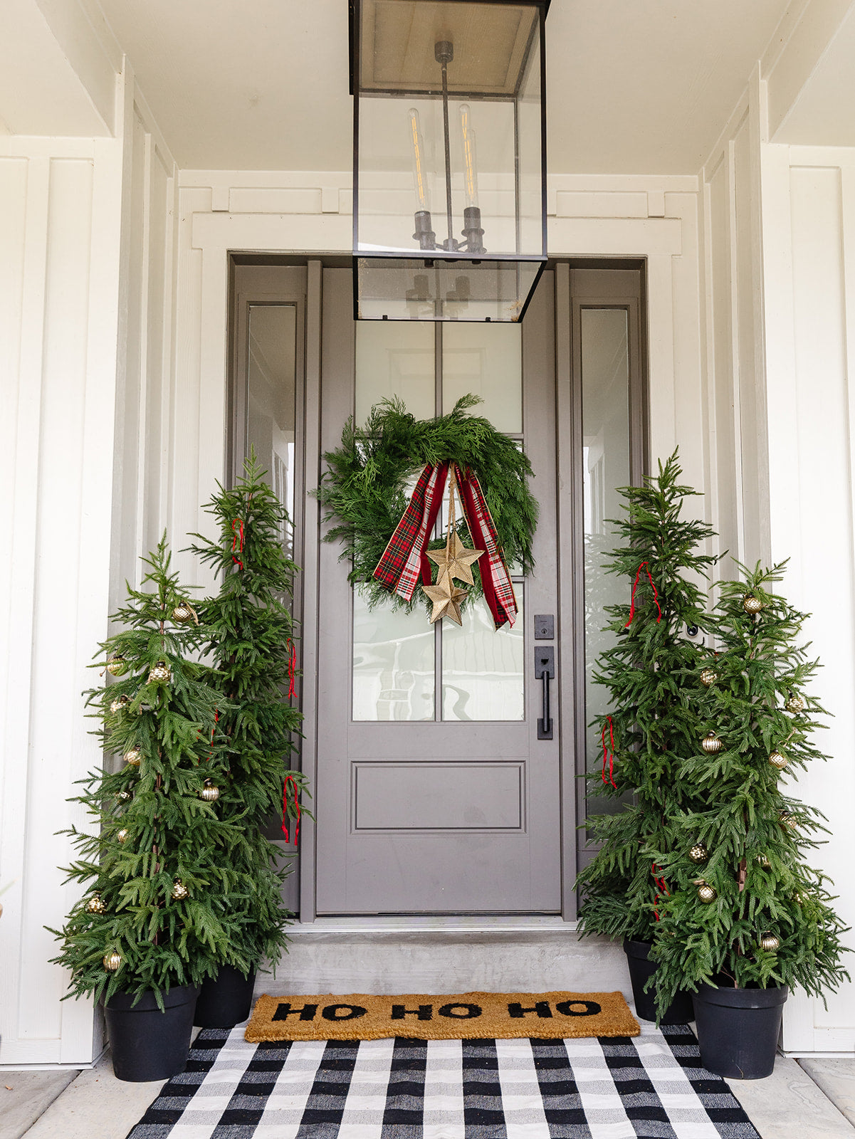 Willow Pine Tree in Black Pot - 2 Sizes LOCAL PICK UP ONLY ON THIS ITEM