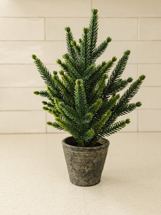 Pine Tree in Cement Pot - 13"
