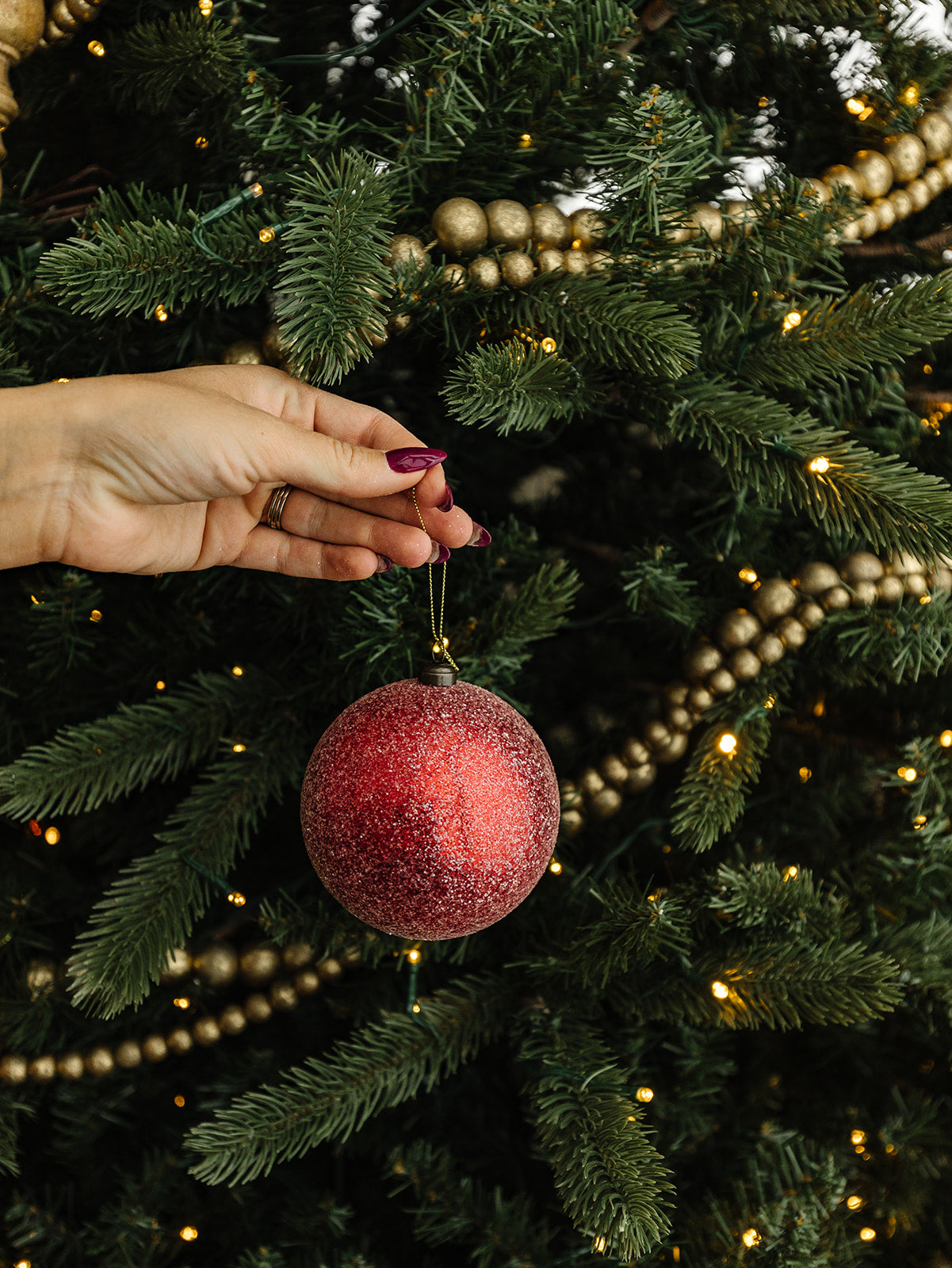 Sugared Red Ornament - 2 Sizes