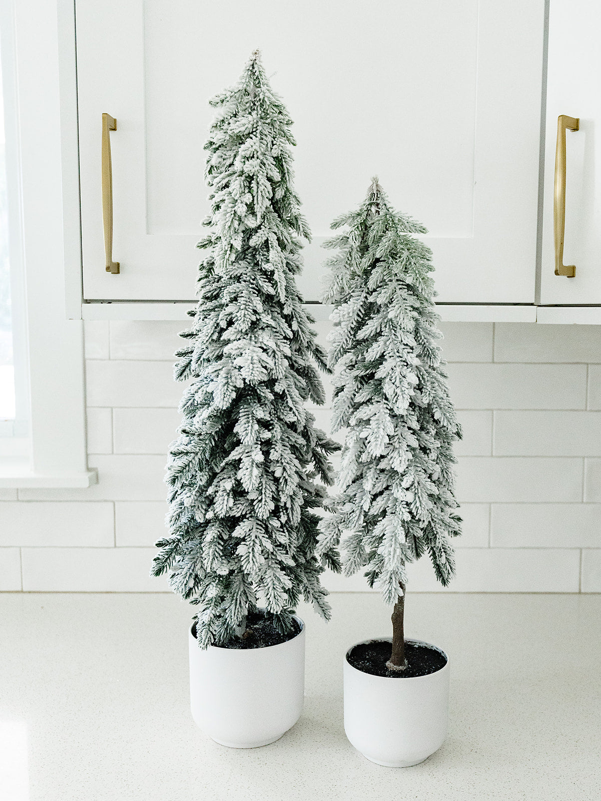 Snow Pine Tree in a Pot - 2 Sizes
