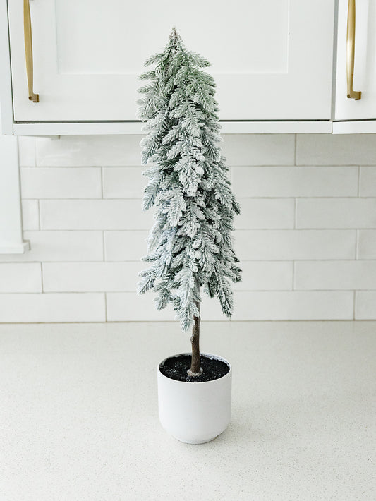 Snow Pine Tree in a Pot - 2 Sizes