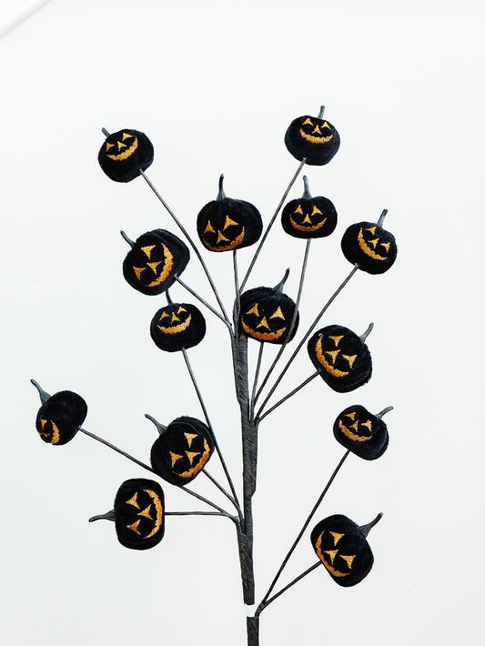 Jack-O-Lantern Pumpkin Spray 30" - Black