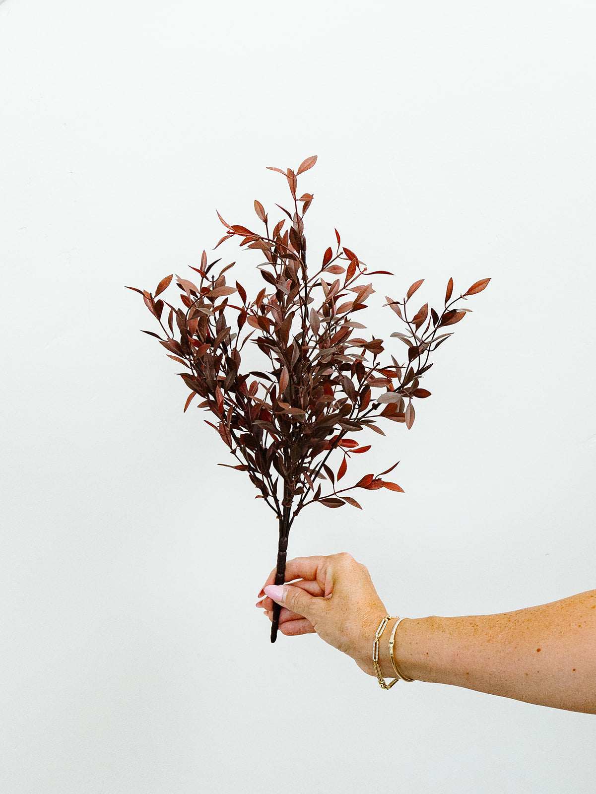 Brown Burgundy Willow Bush - 18"