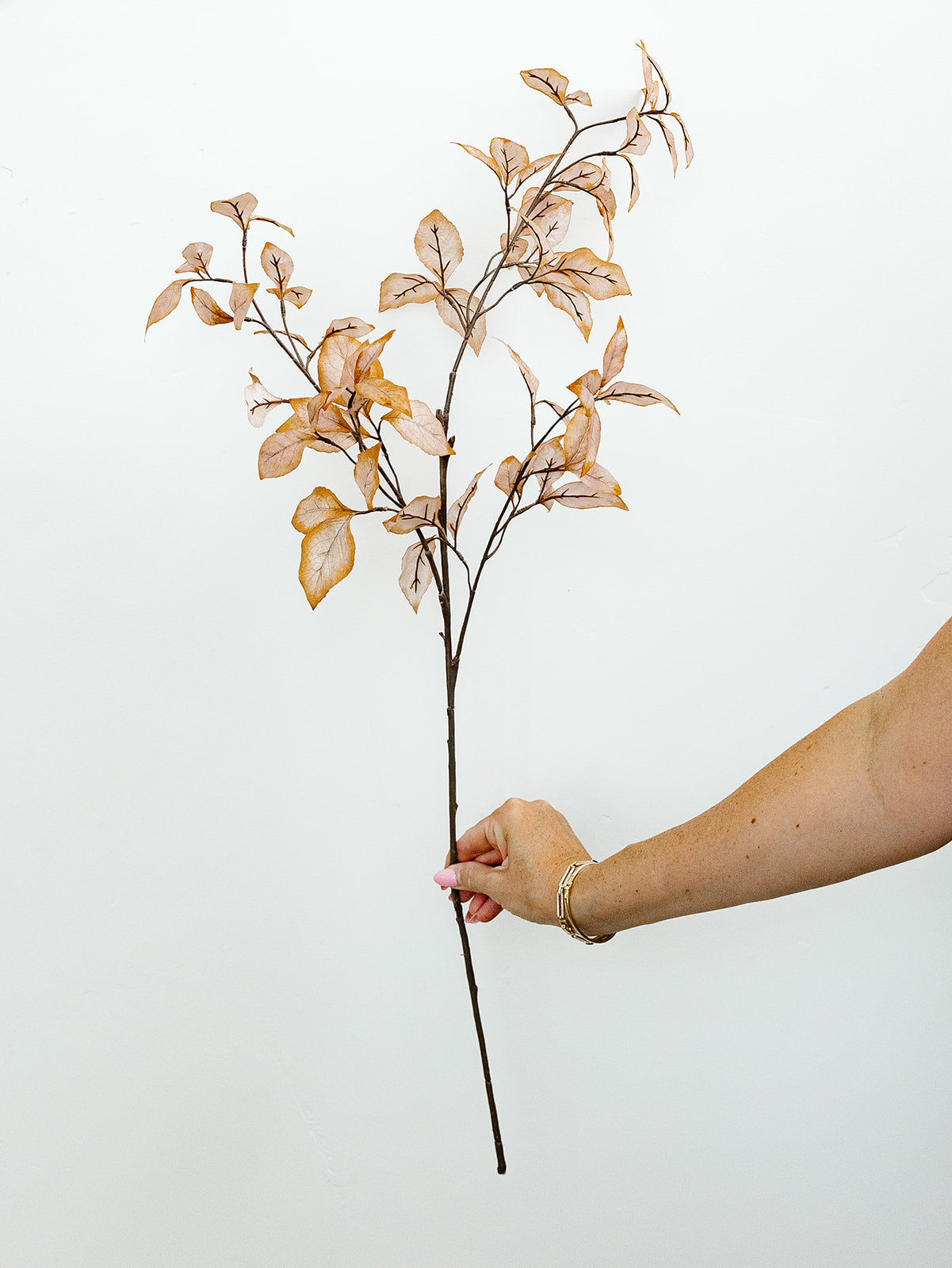 Hint of Orange/Beige Beech Leaf Spray - 35"