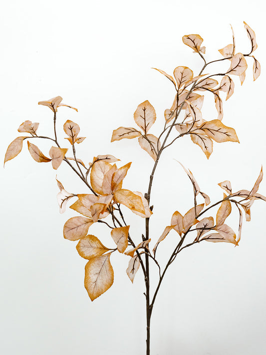 Hint of Orange/Beige Beech Leaf Spray - 35"