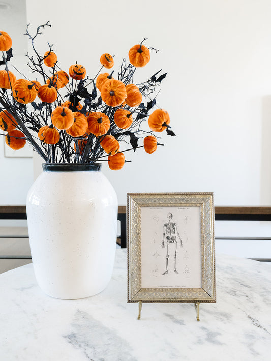 Bones Framed Art - 2 Sizes