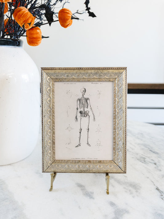 Bones Framed Art - 2 Sizes