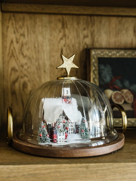 Star Cloche with Wood Base (local pick up only on this item) 