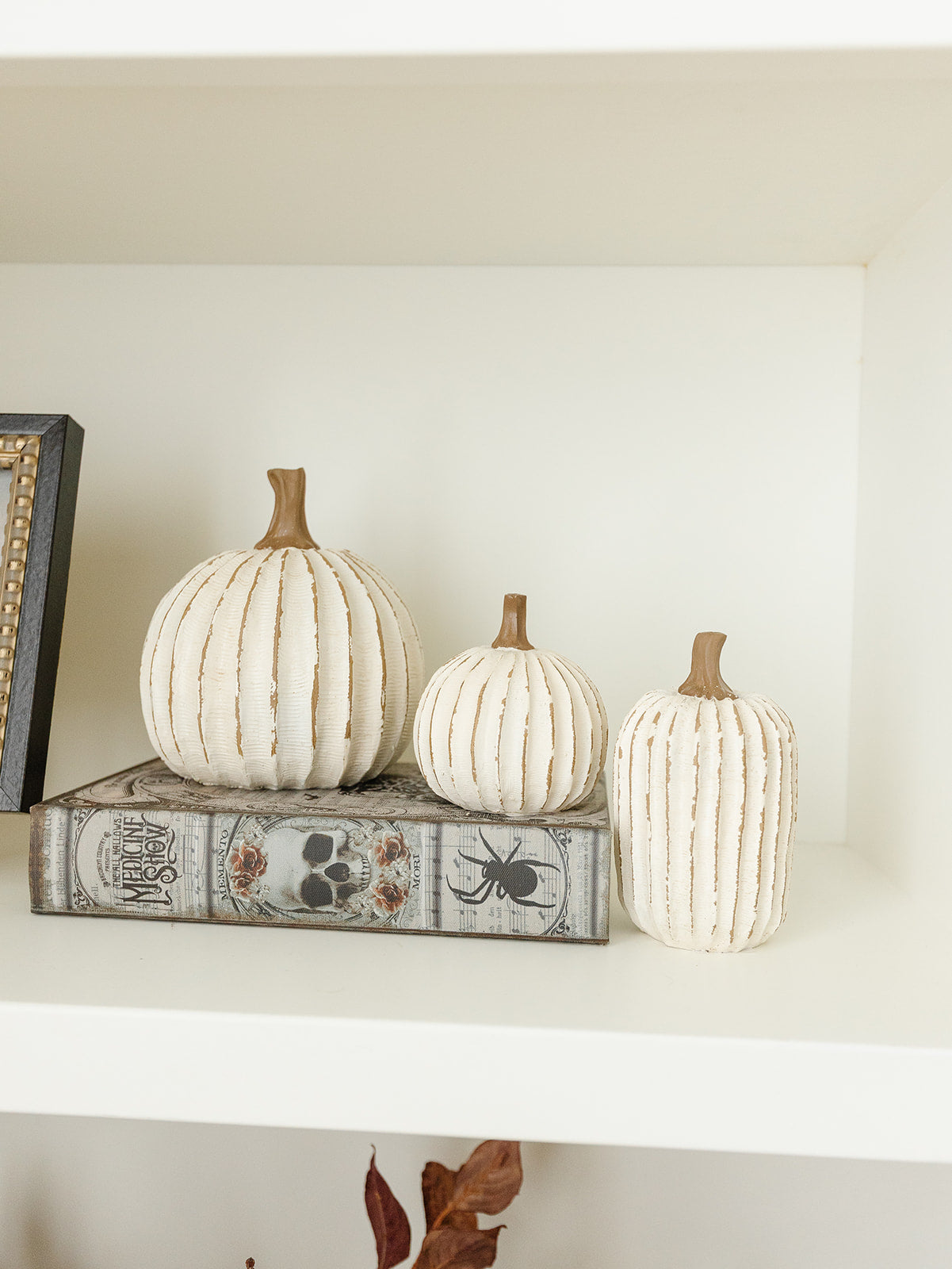 Whitewashed Pumpkin - 3 Sizes