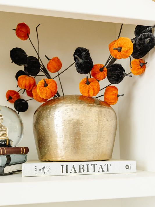 Velvet Pumpkin Stem