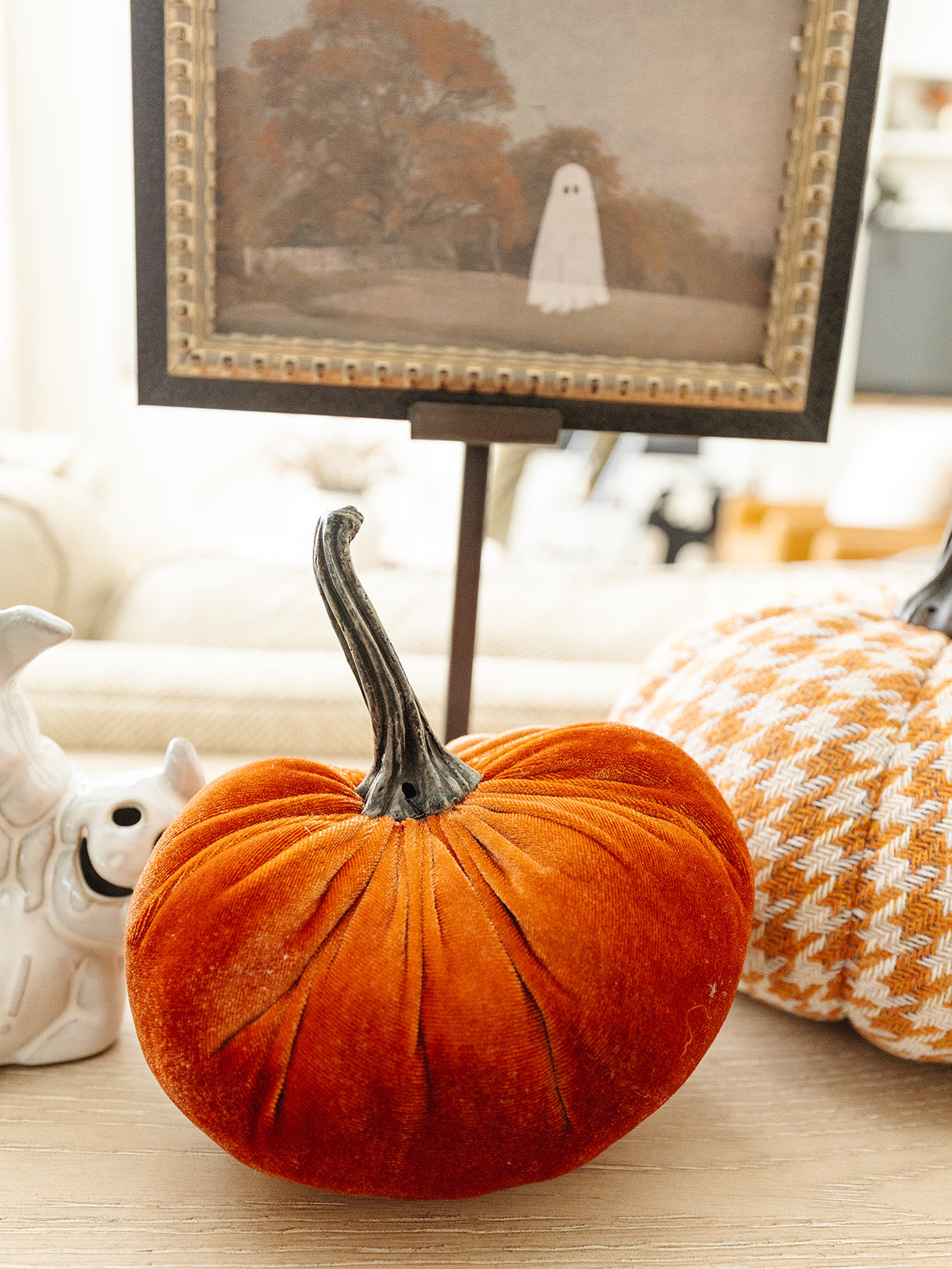 Velvet Orange Pumpkin