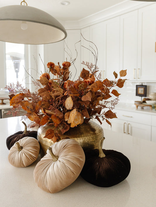 Cream Velvet Pumpkin - 2 Sizes