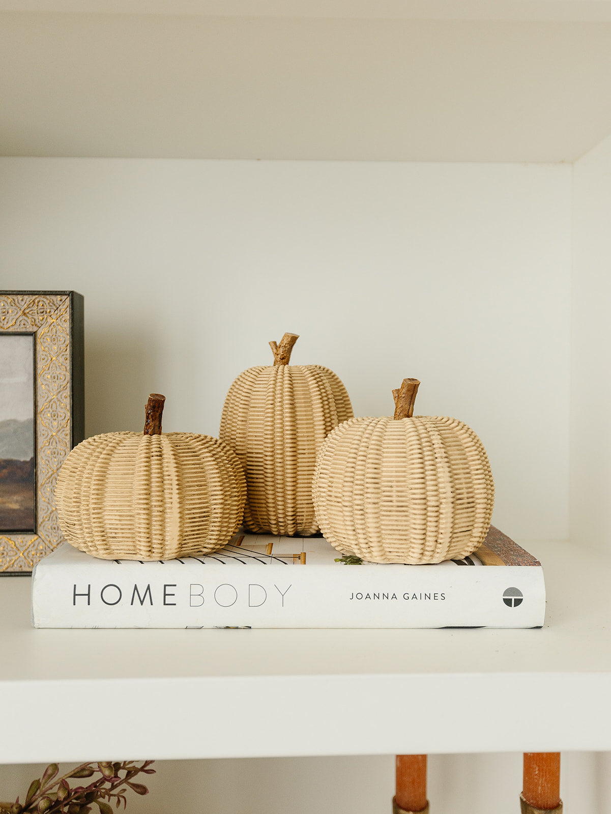 Taupe Pumpkin - 3 Styles