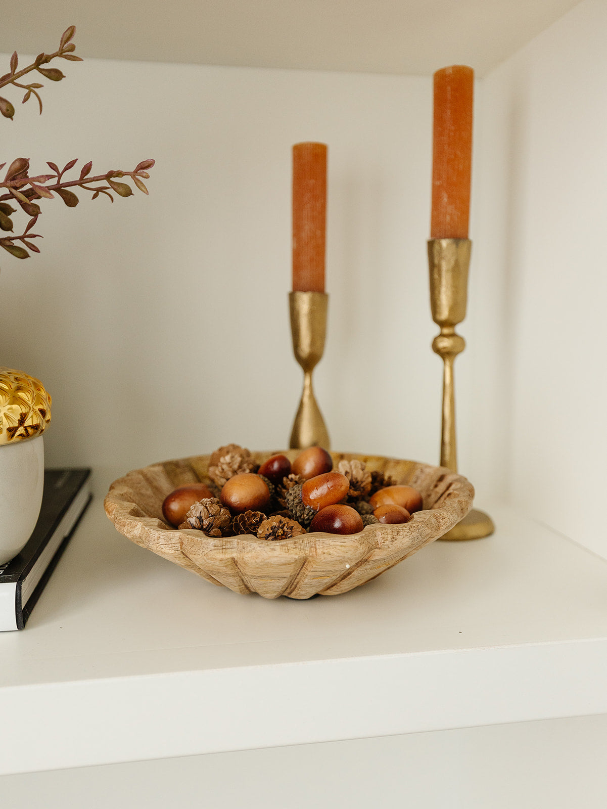 Box of 24 Assorted Acorns and Pinecones