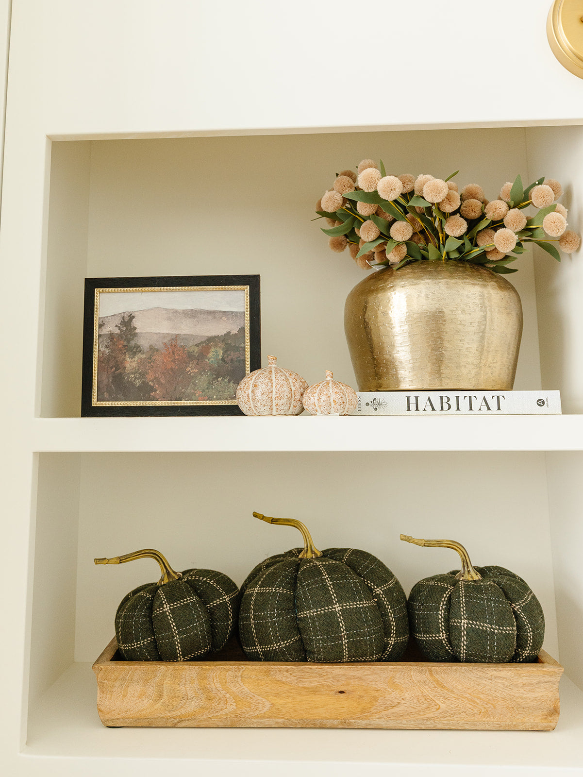 Autumn Tree Framed Art - 2 Sizes
