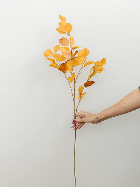 Orange Eucalyptus - 38.5"