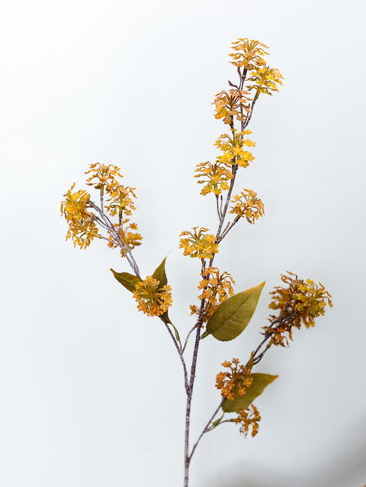 Amber Elderberry Fall Stem - 35"