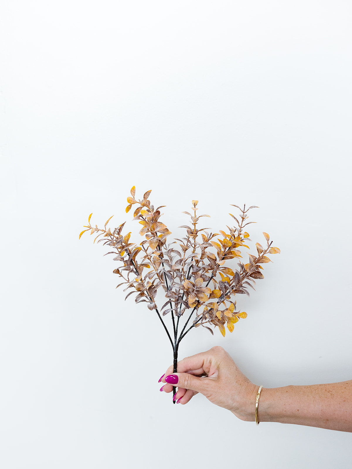 Tea Leaf Bush - 2 Lengths
