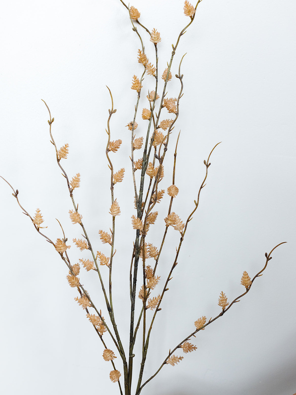 Tan Straw Flower Stem - 47"