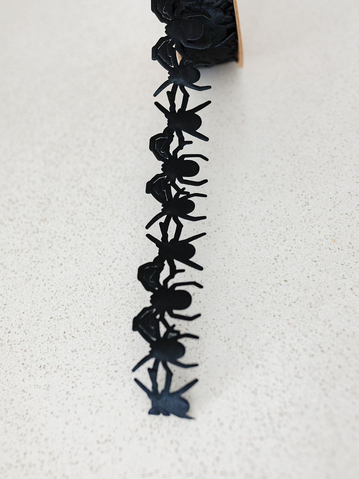 Spider Trim Ribbon - 1.5" - 10 yds.